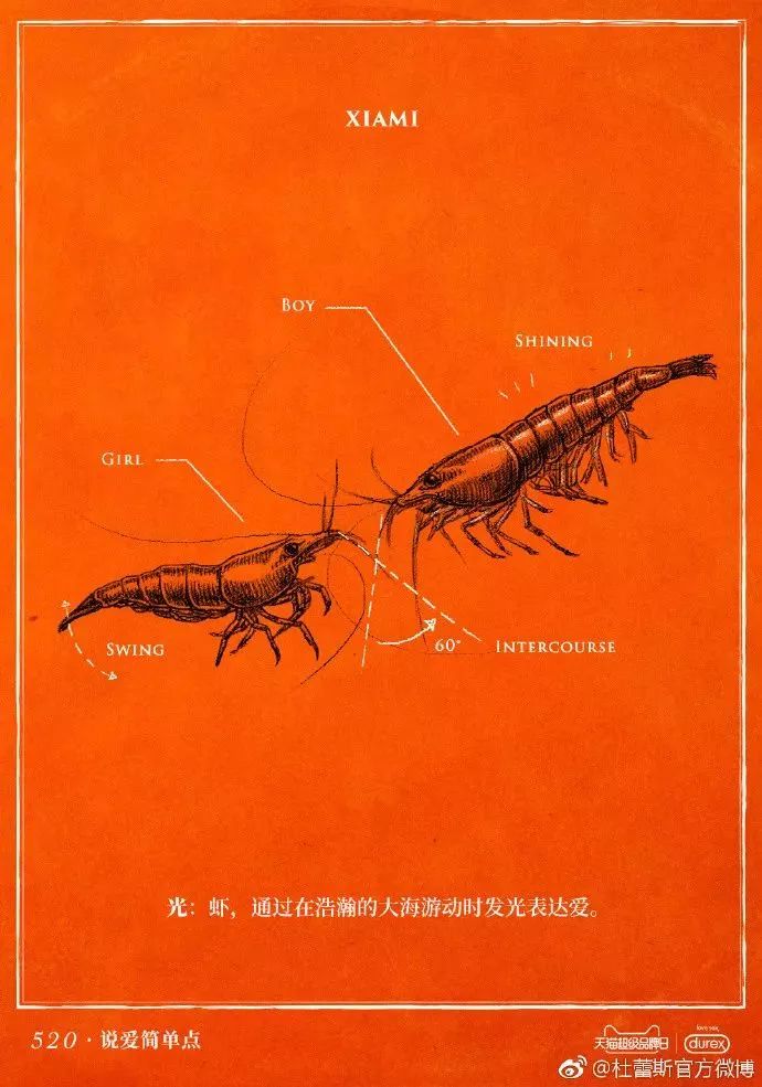 今年情人节，杜蕾斯重回神坛？一加翻车？