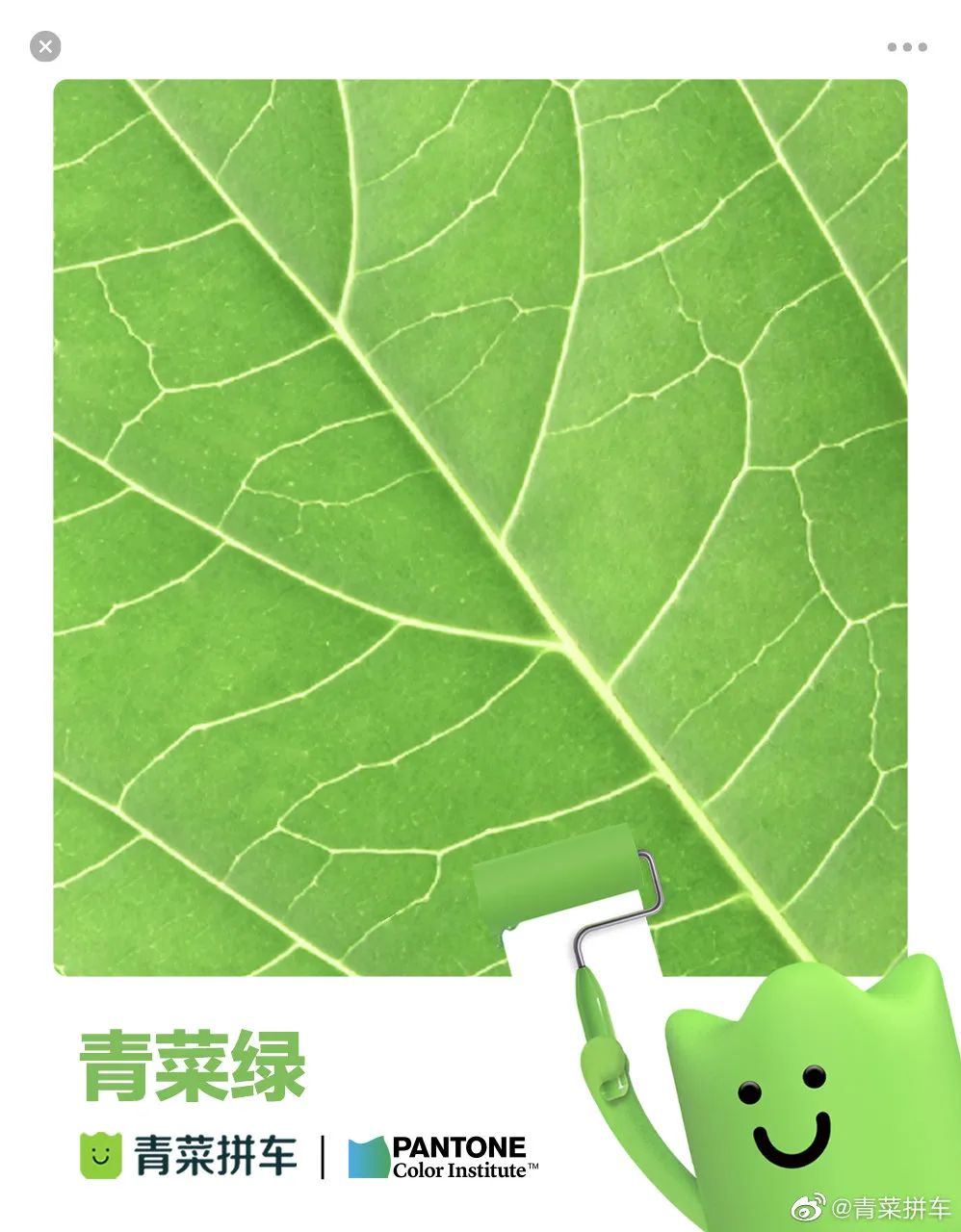 潘通2021秋冬流行色发布，色彩界的标杆还接了哪些大厂的单？