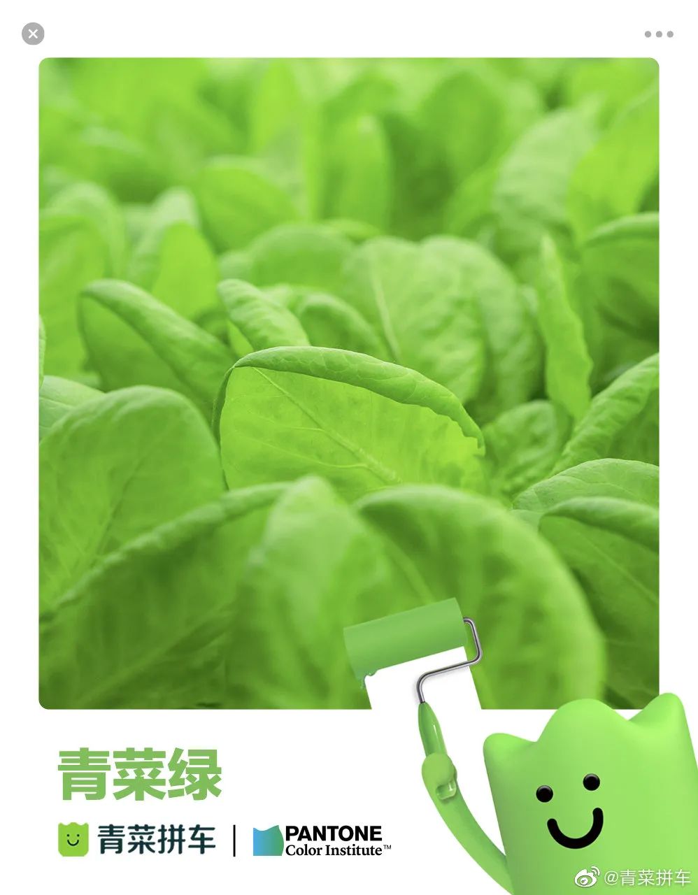 潘通2021秋冬流行色发布，色彩界的标杆还接了哪些大厂的单？