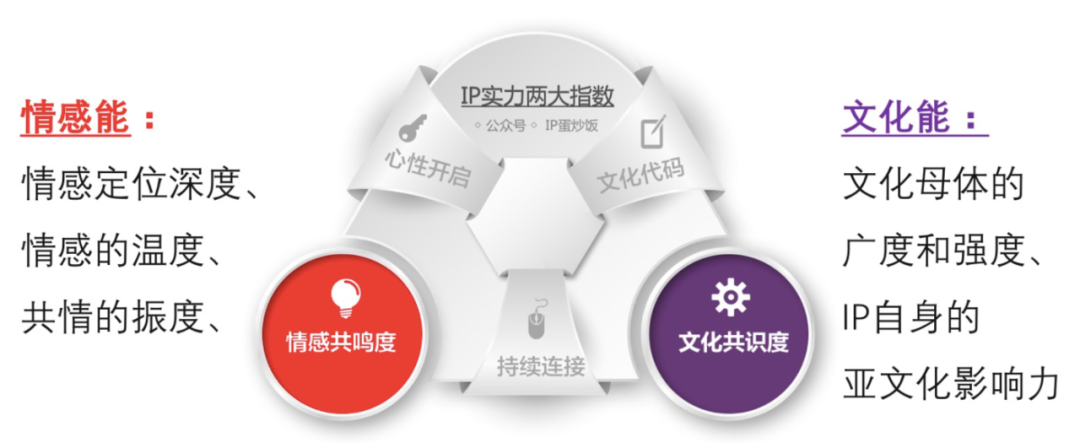 用最简单的思路做IP，快来学！