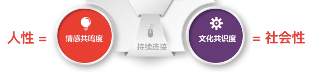 用最简单的思路做IP，快来学！