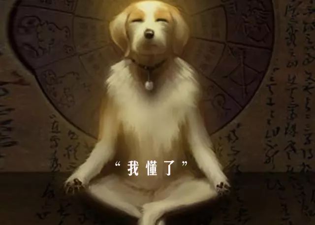 干货知识如何消化？独门绝招，直接给你！