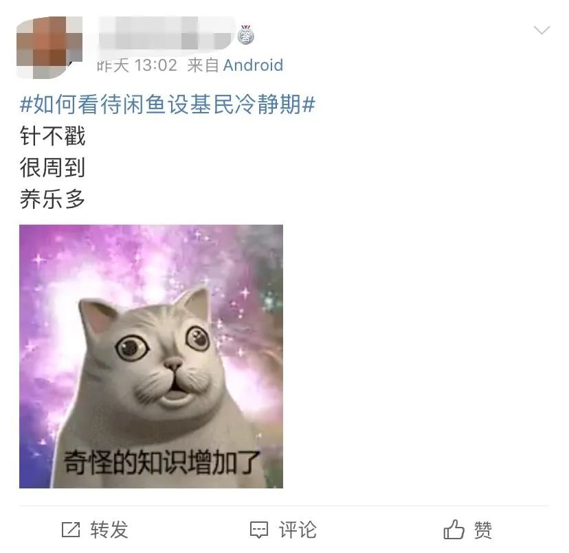 闲鱼，为基民操碎了心