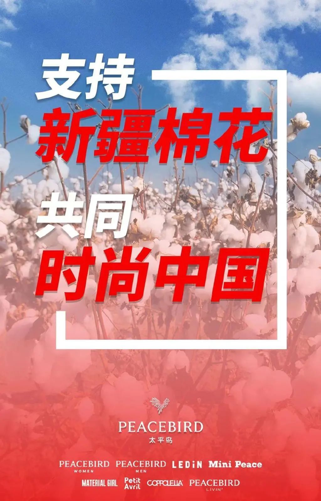 支持新疆棉花！这些海报告诉你为什么！