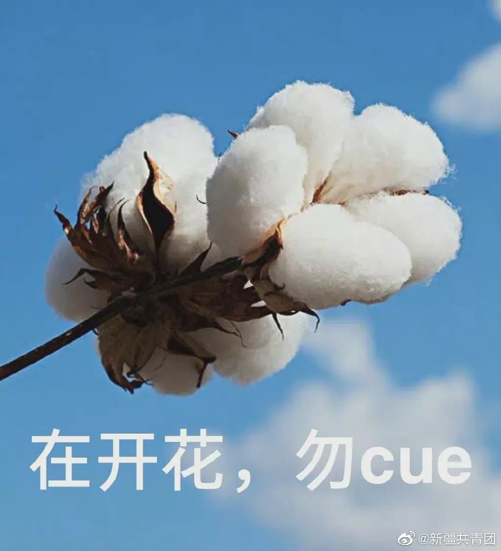 支持新疆棉花！这些海报告诉你为什么！
