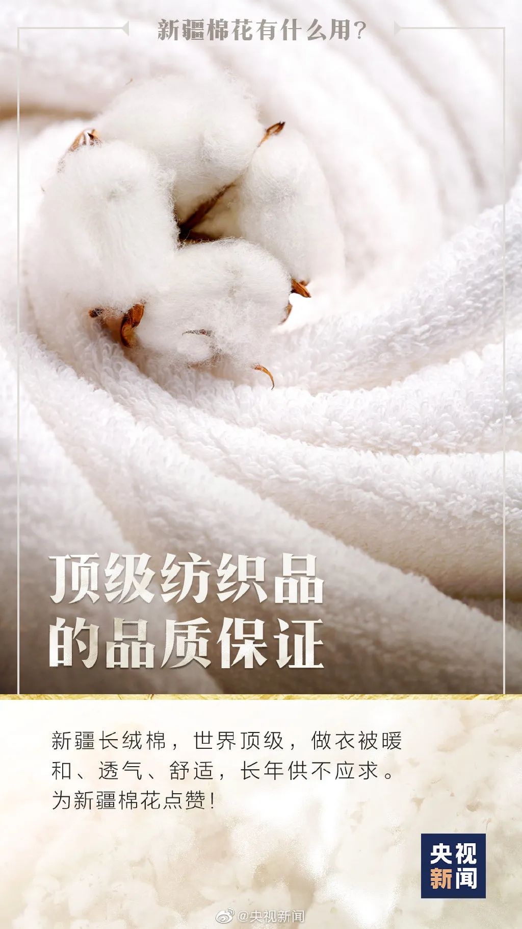 支持新疆棉花！这些海报告诉你为什么！