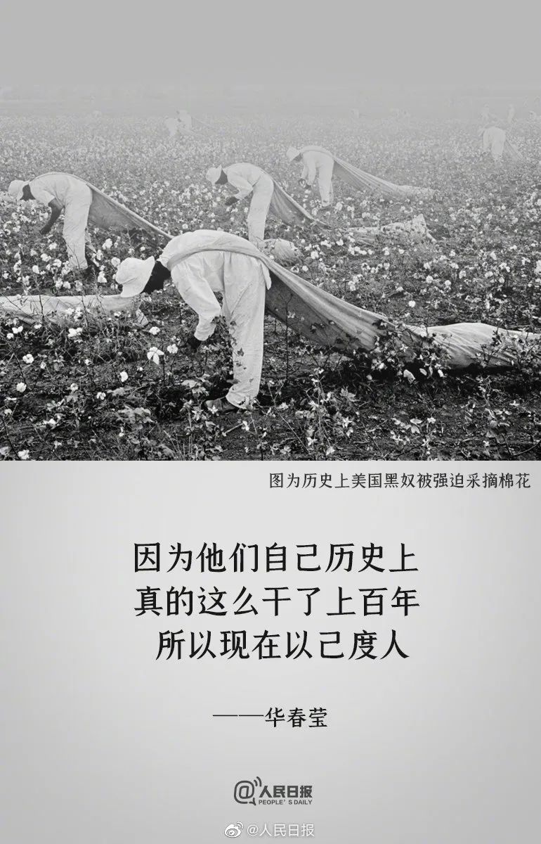 支持新疆棉花！这些海报告诉你为什么！
