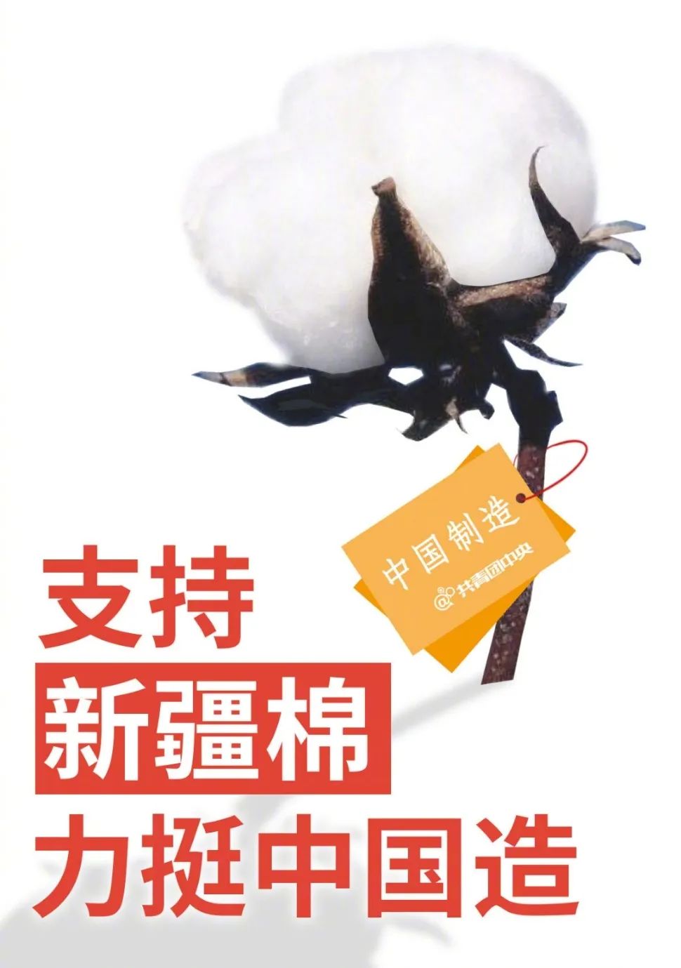支持新疆棉花！这些海报告诉你为什么！