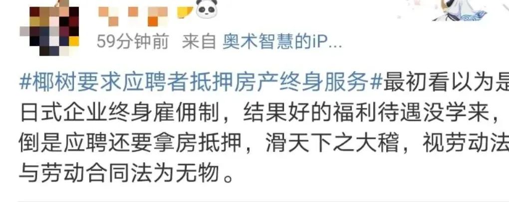 椰树，这招聘广告是认真的？