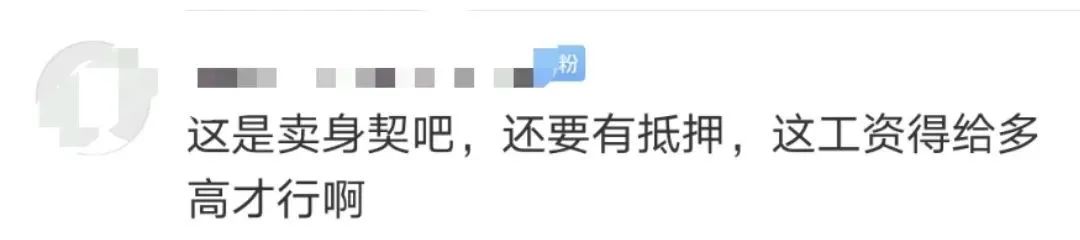 椰树，这招聘广告是认真的？