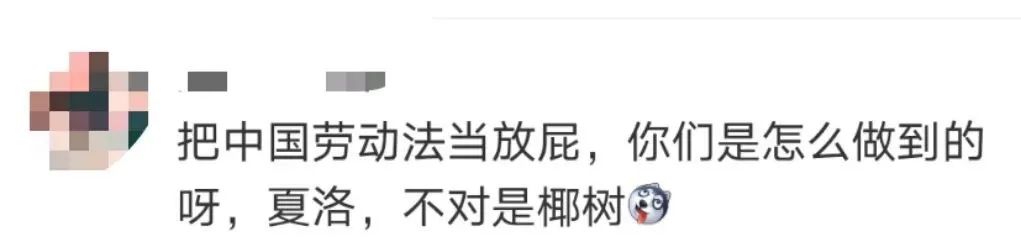 椰树，这招聘广告是认真的？