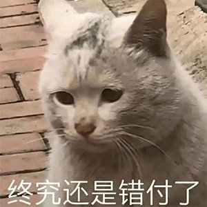 特斯拉，靠周边就盆满钵满？