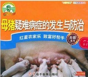 在BOSS直聘，留学生已经被内卷到想去养猪？