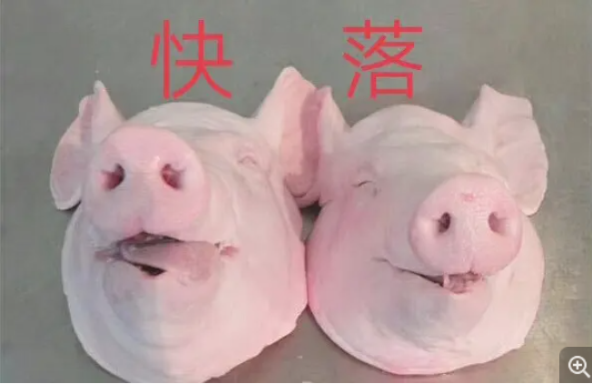 在BOSS直聘，留学生已经被内卷到想去养猪？