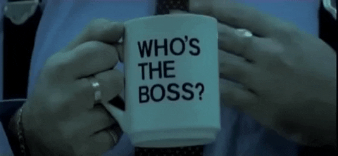 在BOSS直聘，留学生已经被内卷到想去养猪？