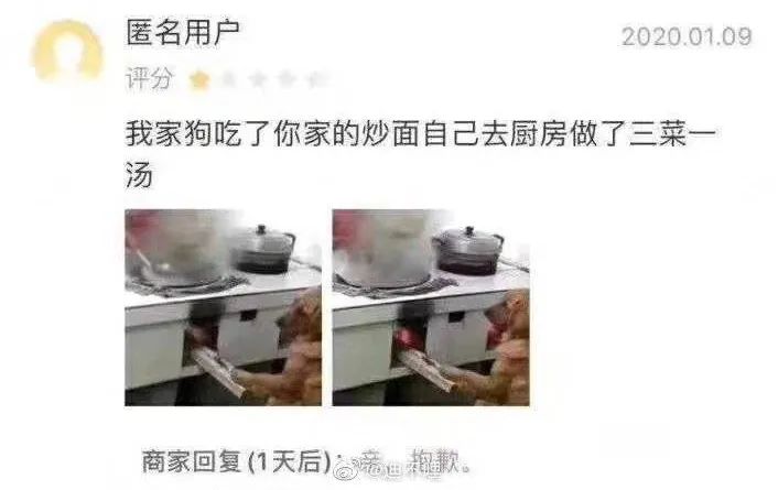 外卖评价文案大赏，文曲星直呼内行！