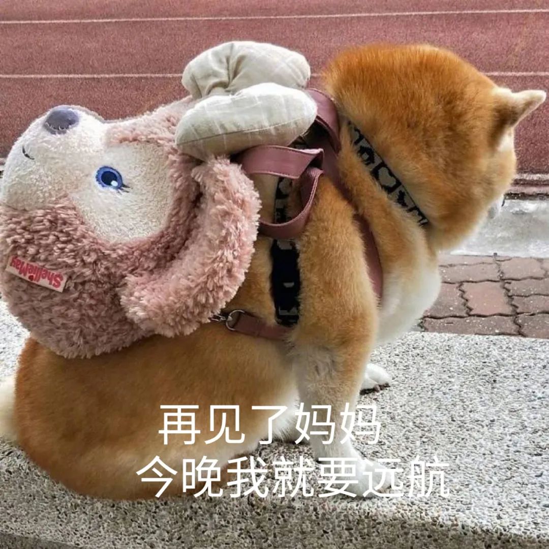 “什么是快乐星球”究竟怎么火起来的？解密爆款背后的走红逻辑