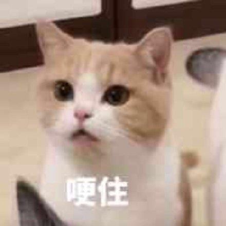 鸡蛋壳上印标语，网友：民警·真·操碎了心