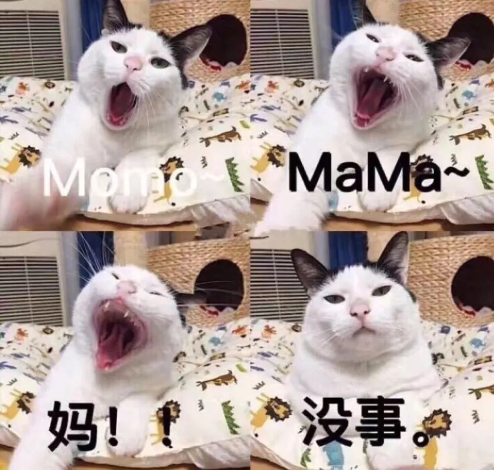 最走心的母亲节借势文案都在这一篇！