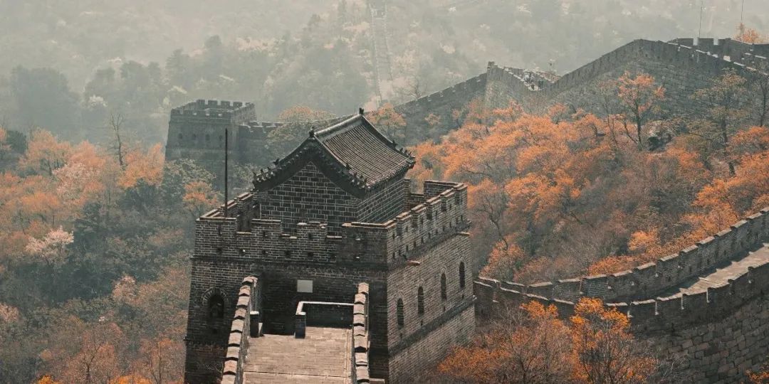 预算不断减少，该怎么做品牌？