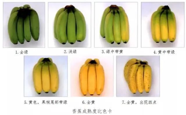 做好国潮，要化“国”为“潮”