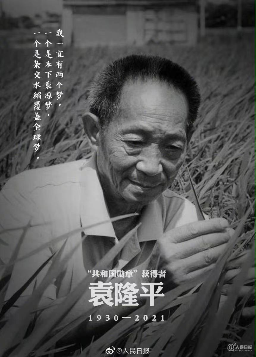 一刷微博就想哭，每句文案都让人破防