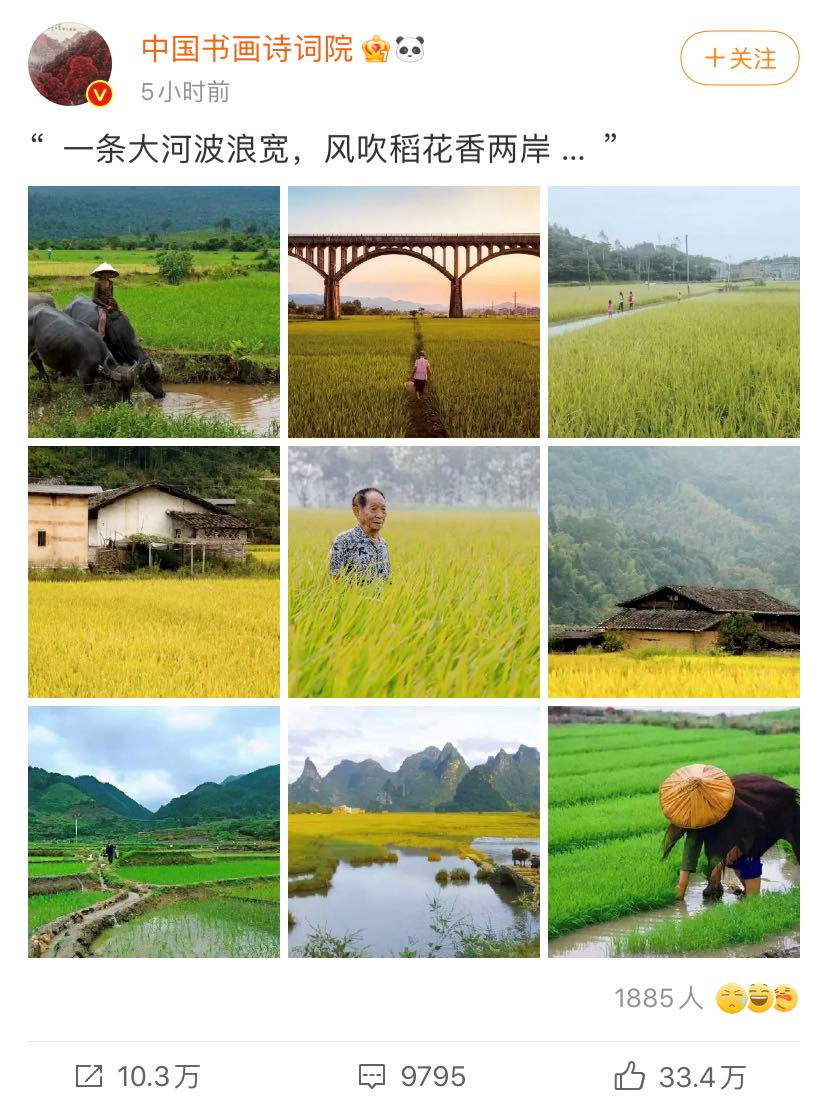 一刷微博就想哭，每句文案都让人破防