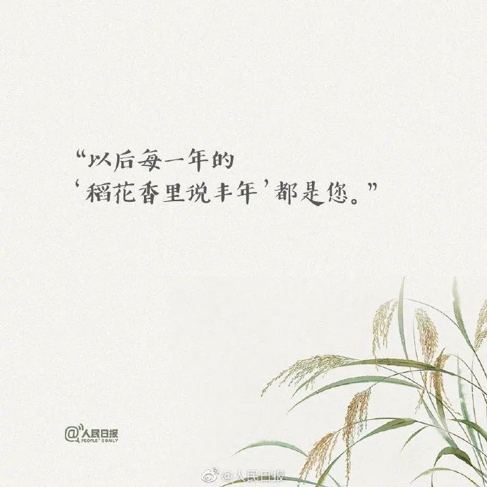 一刷微博就想哭，每句文案都让人破防