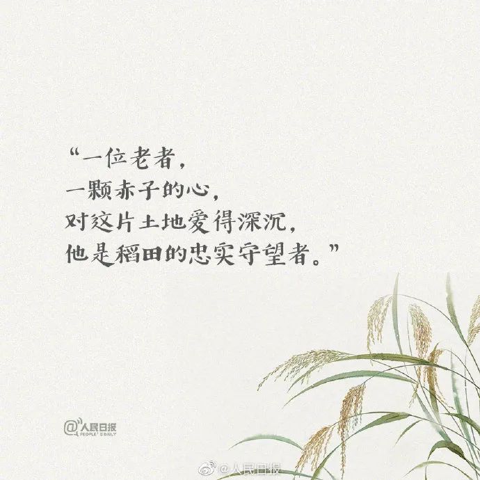 一刷微博就想哭，每句文案都让人破防