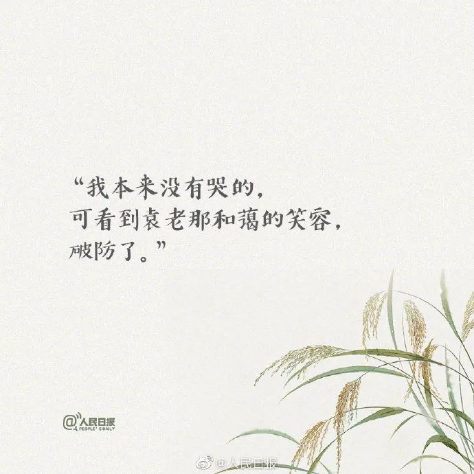 一刷微博就想哭，每句文案都让人破防