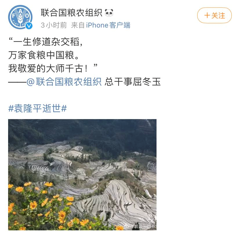 一刷微博就想哭，每句文案都让人破防