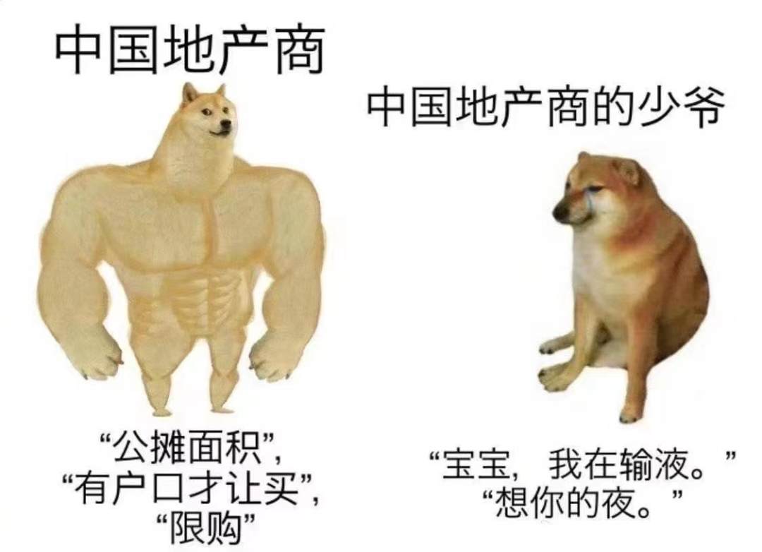 思聪大瓜，段子文案笑麻了哈哈