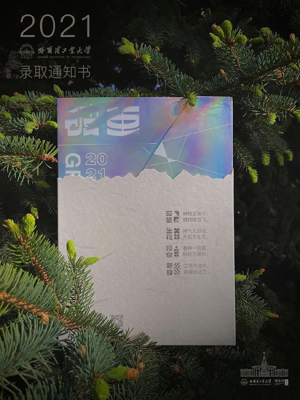 凭设计出圈，哈工大早已不是第一次！
