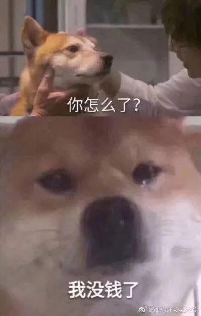 2021上半年值得种草的好文案，跟成长有关