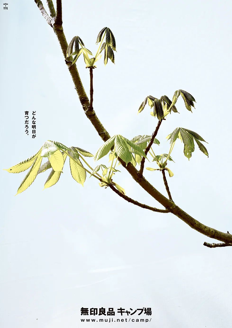 经典海报！无印良品设计总监的100张作品