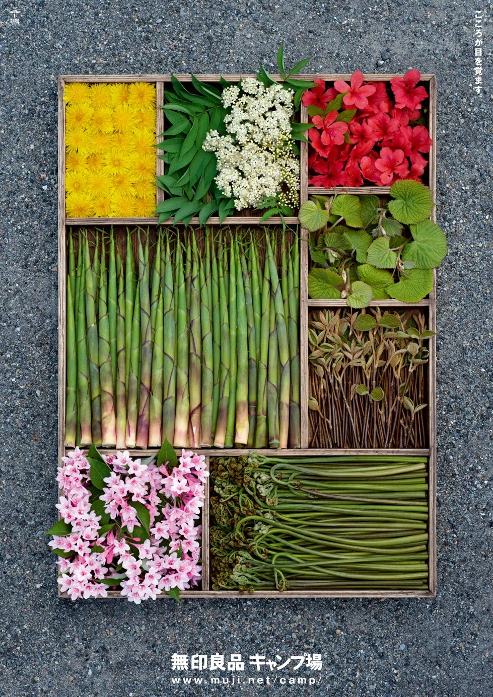 经典海报！无印良品设计总监的100张作品