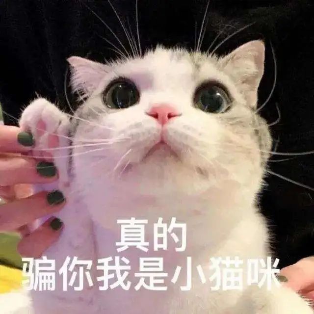 奈雪降价10元？闺蜜差点和我绝交了