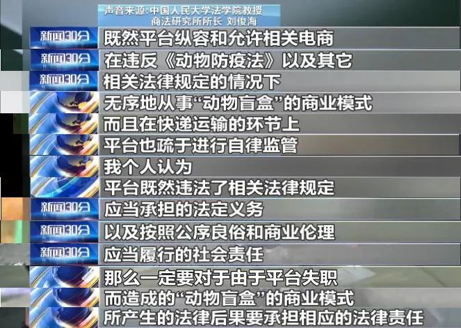 B站一夜百万播放，萌宠营销永远的神！