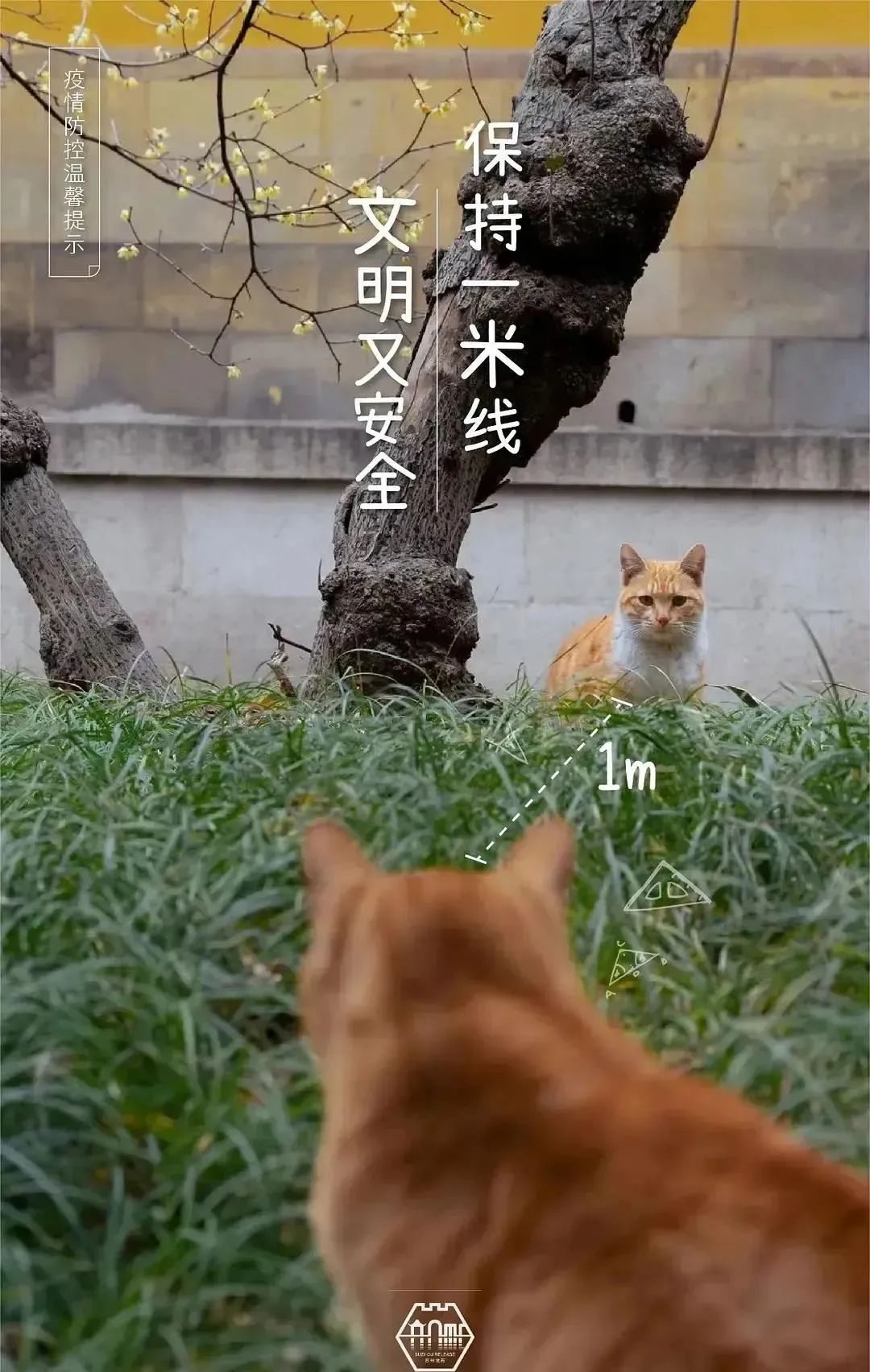 B站一夜百万播放，萌宠营销永远的神！