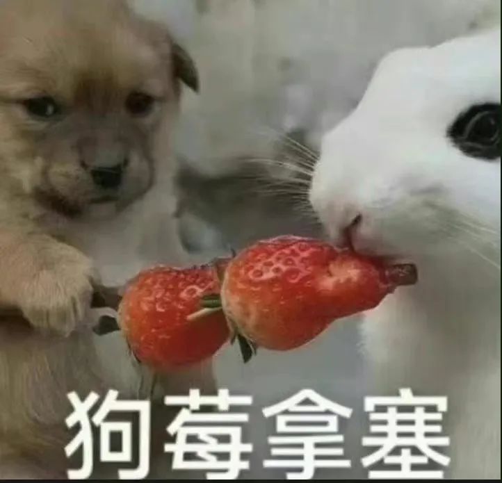 中国邮政兔年邮票翻车，网友：好诡异！