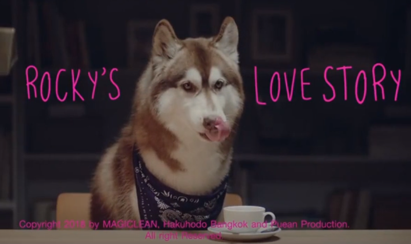 泰国广告：狗狗洛基的爱情故事