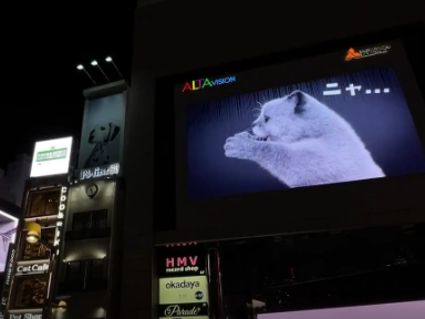 日本新宿车站那个著名的3D猫咪，还会和一旁的广告牌互动了！