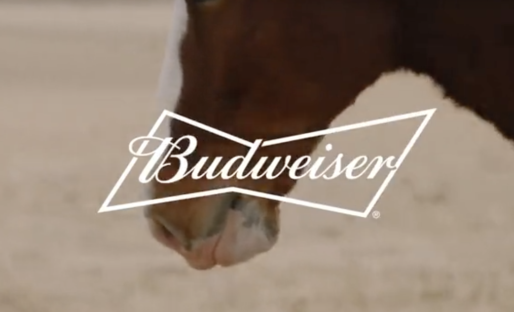 【2022超级碗】百威啤酒：不说啤酒的啤酒广告