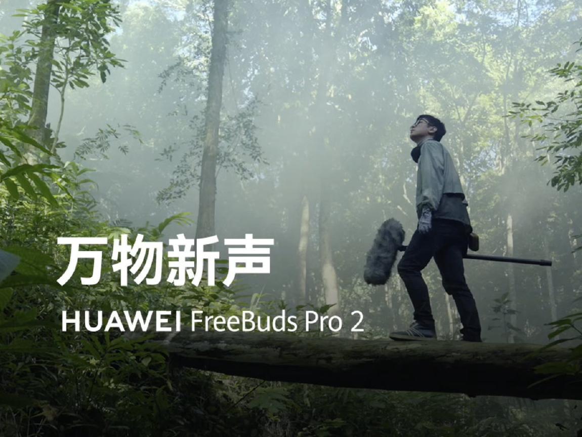 华为FreeBuds Pro 2：万物新声