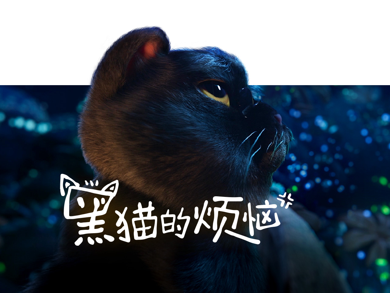 vivo硬核萌宠片：黑猫的烦恼