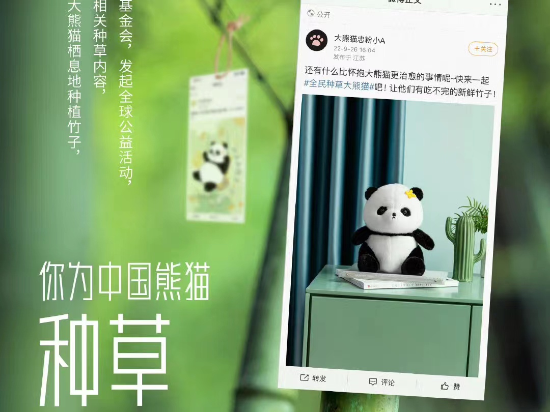 名创优品×中国绿化基金会：你为中国熊猫种草，我们为中国熊猫种竹子