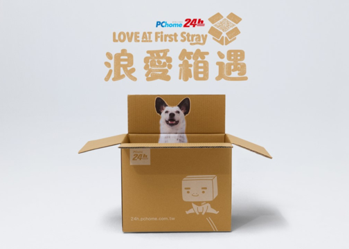 Pchome 24h购物：住在纸箱里的流浪小猫小狗