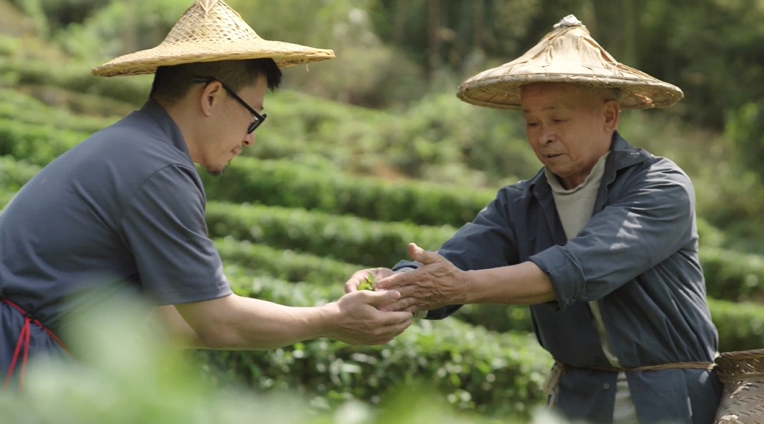 文明X茶的传人 回归传承中国茶的初心