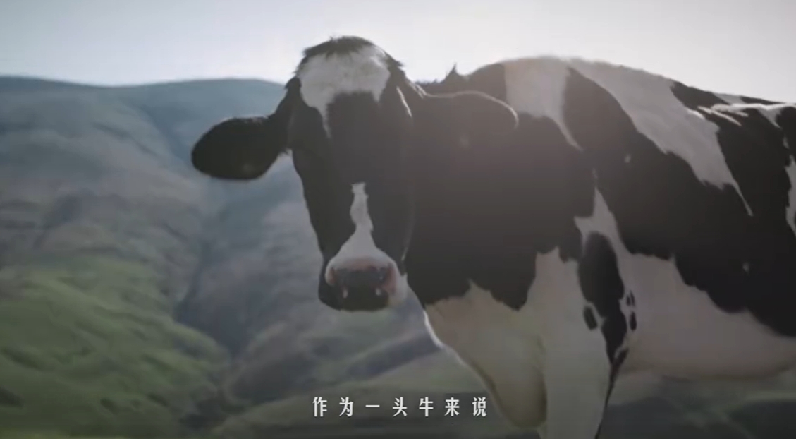 牛眼看世界，草原更动人