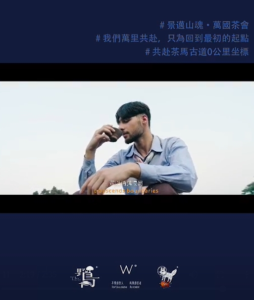 一片东方树叶的全球对话